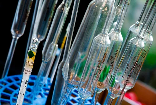 Test tubes used in a laboratory for chemical analysis