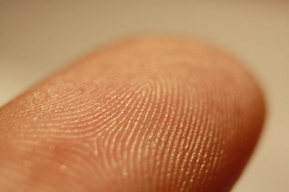 Fingerprint detail on male finger.